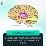 Nucleus Accumben dan Murajaah